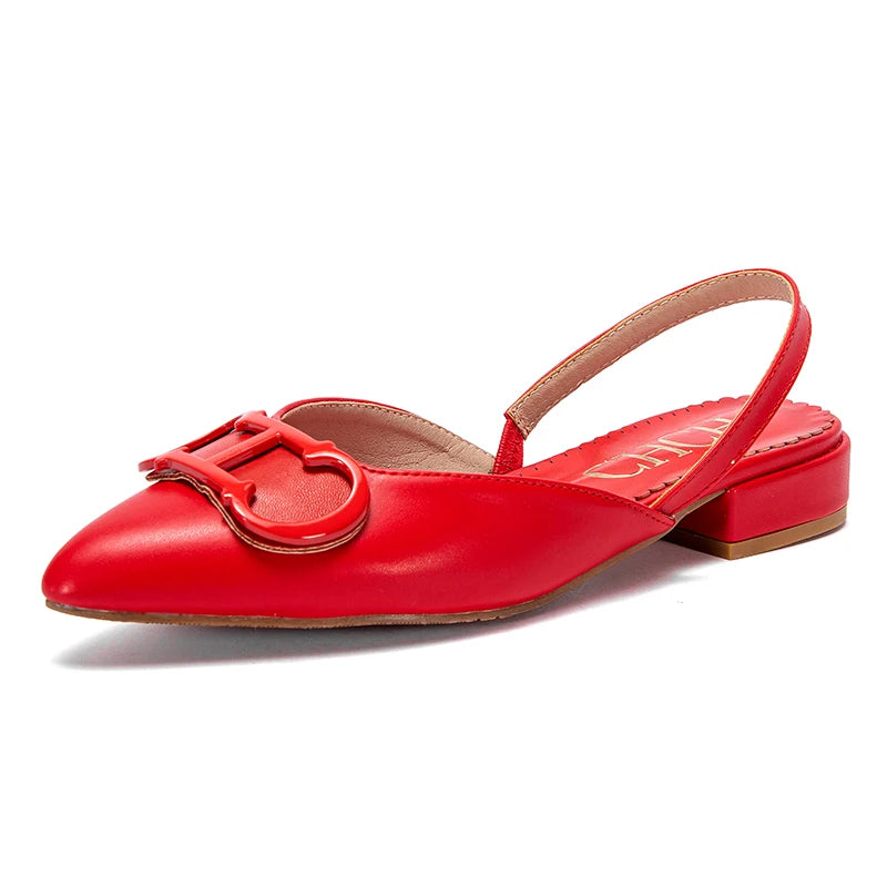 Simple Pointed Slingback Flats