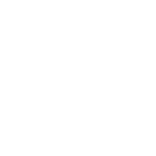 Raare Store®