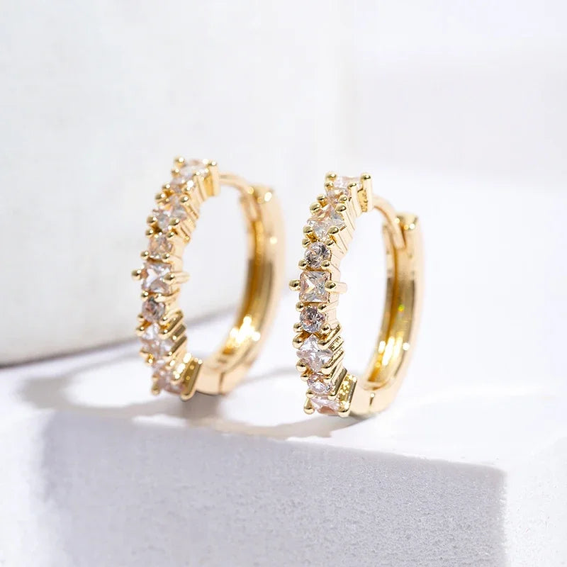 Luxury Stone Hoop Earrings 
