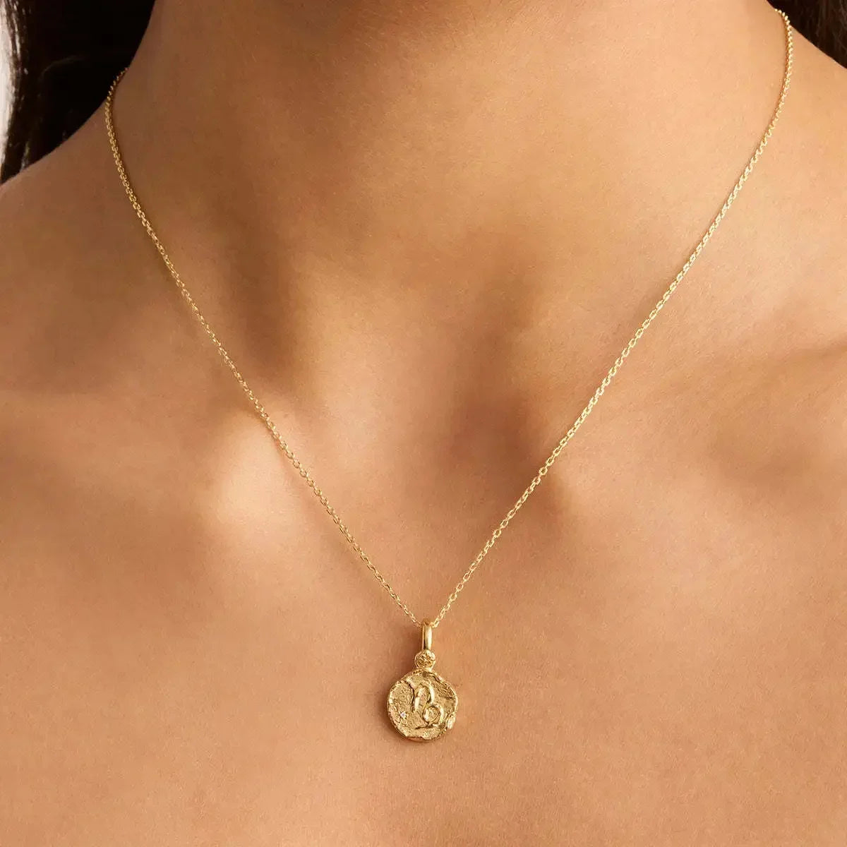 Zodiac Sign Pendant Necklace 