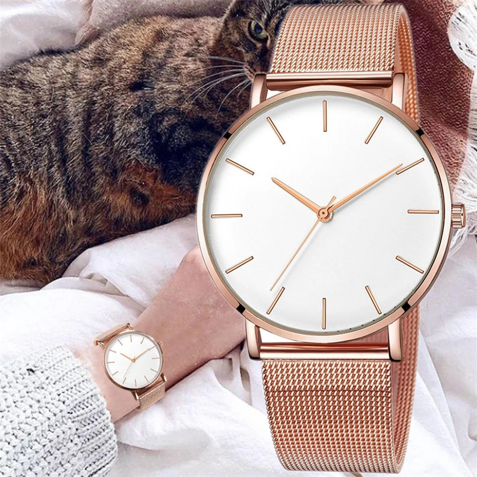 Minimalist Mesh Watch